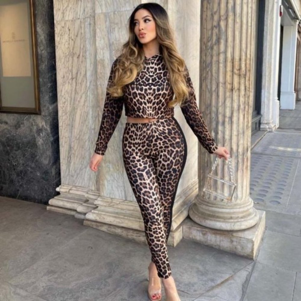 Leopard Print Long Sleeve Hoodie Hooded Crop Top and Joggers Pants Two Piece Set - Picture 4 of 10